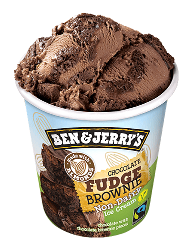 Ben & Jerry's Chocolate Fudge Brownie